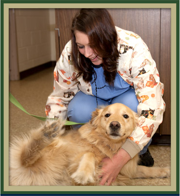 News from our Everett Veterinary Center