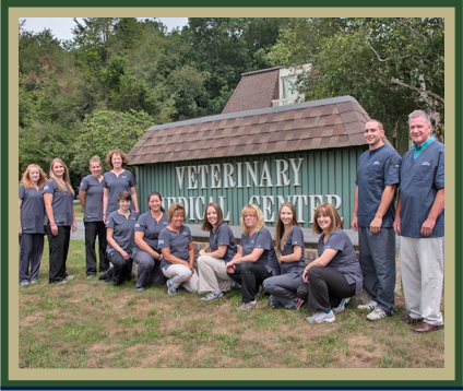 About Veterinary Medical Center of Everett, PA