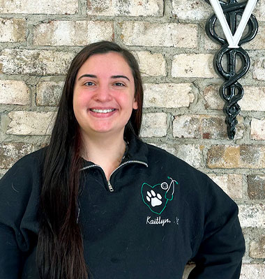 Staff of Veterinary Medical Center