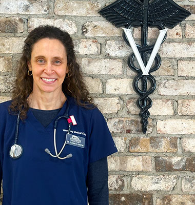 Everett Veterinarians