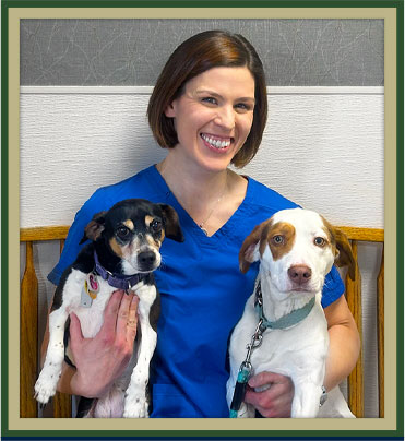 Everett Veterinarians