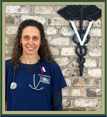 Everett Veterinarians