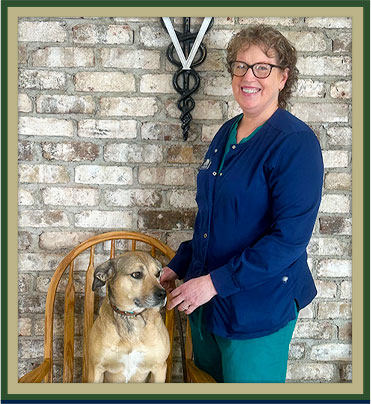 Everett Veterinarians