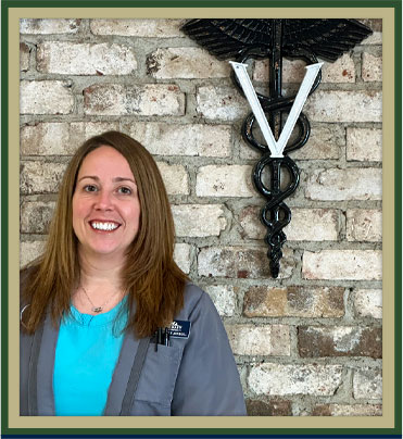 Everett Veterinarians